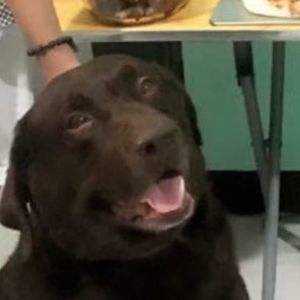 Meet your Posher, Edzelyn